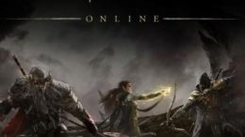 Инфографика беты The Elder Scrolls Online