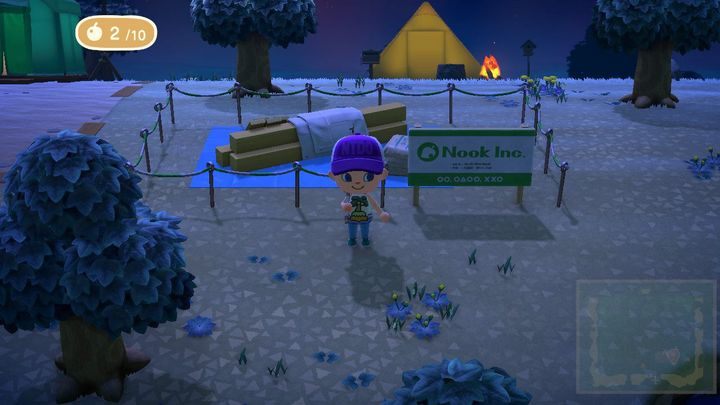 советы по прохождению Animal Crossing: New Horizons