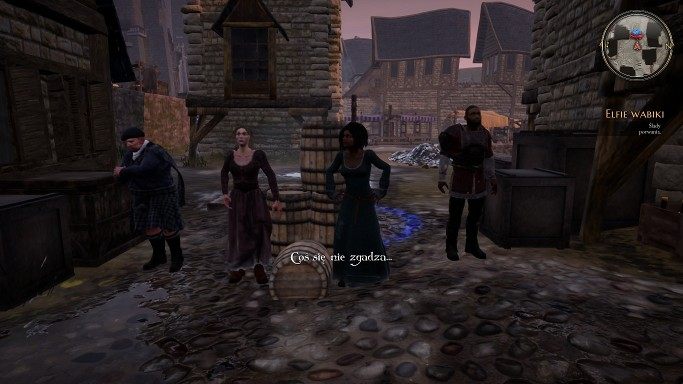 прохождение The Bards Tale 4