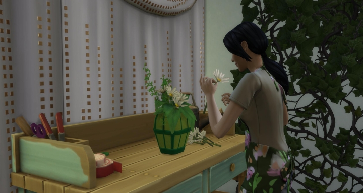 гайд по прохождению The Sims 4 Seasons