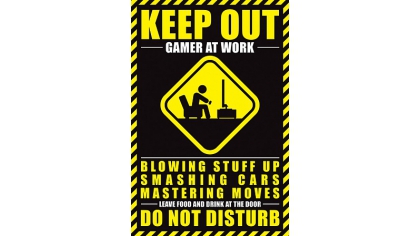 Купить Постер Maxi Pyramid – Gamer At Work