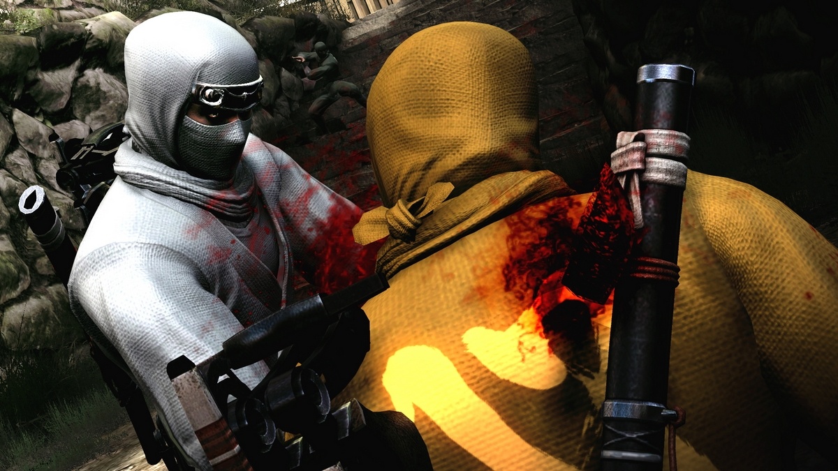 Ninja Gaiden 3