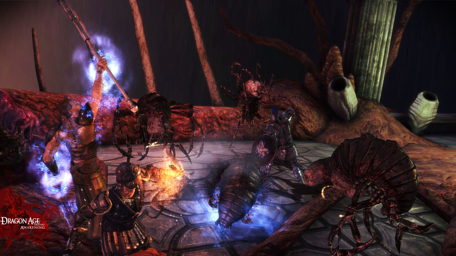 Dragon Age: Origins