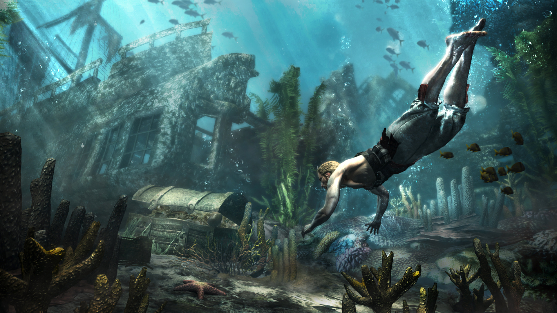 Assassins Creed IV: Black Flag