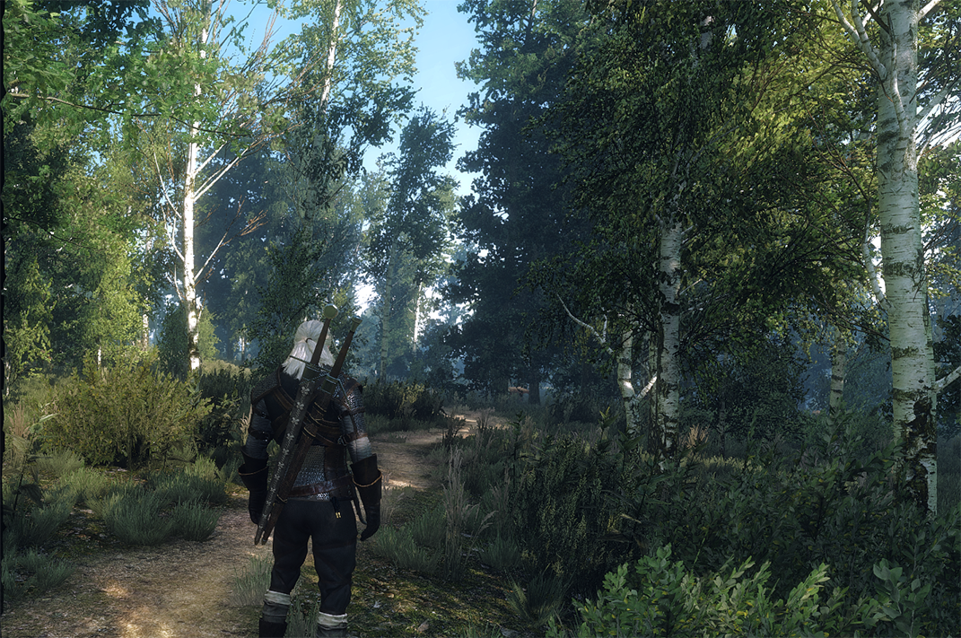 скачать The Witcher 3: Wild Hunt