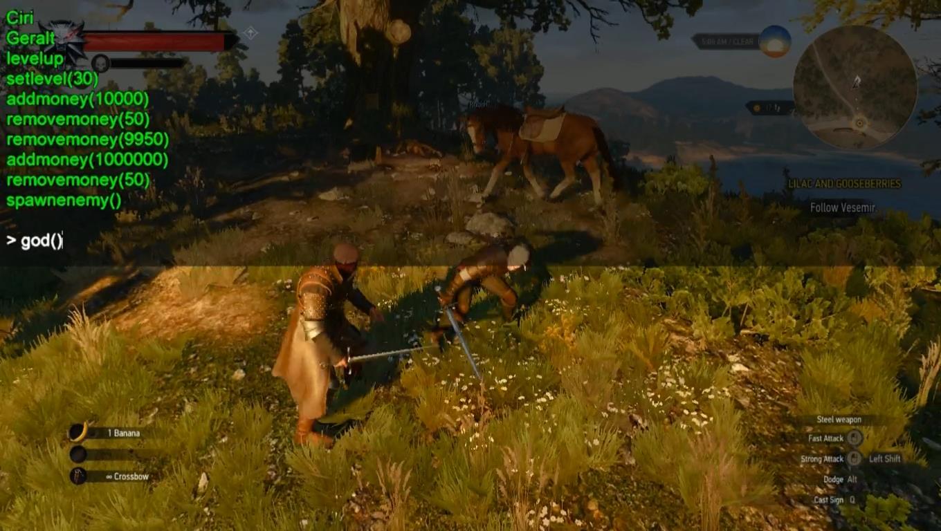 скачать The Witcher 3: Wild Hunt - Debug Console Enabler / Консоль Разработчиков (Free and No Free Cam Versi