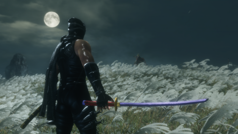 скачать Sekiro: Shadows Die Twice