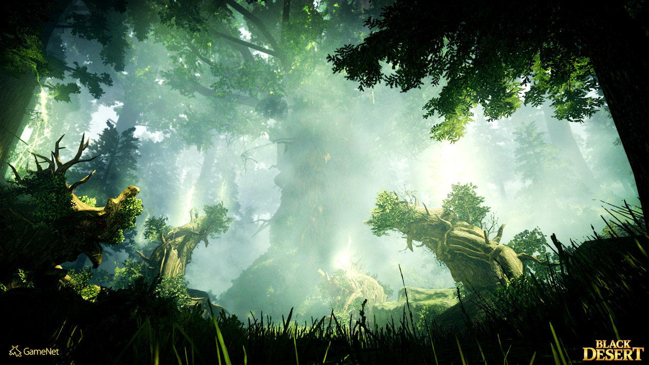 Black Desert
