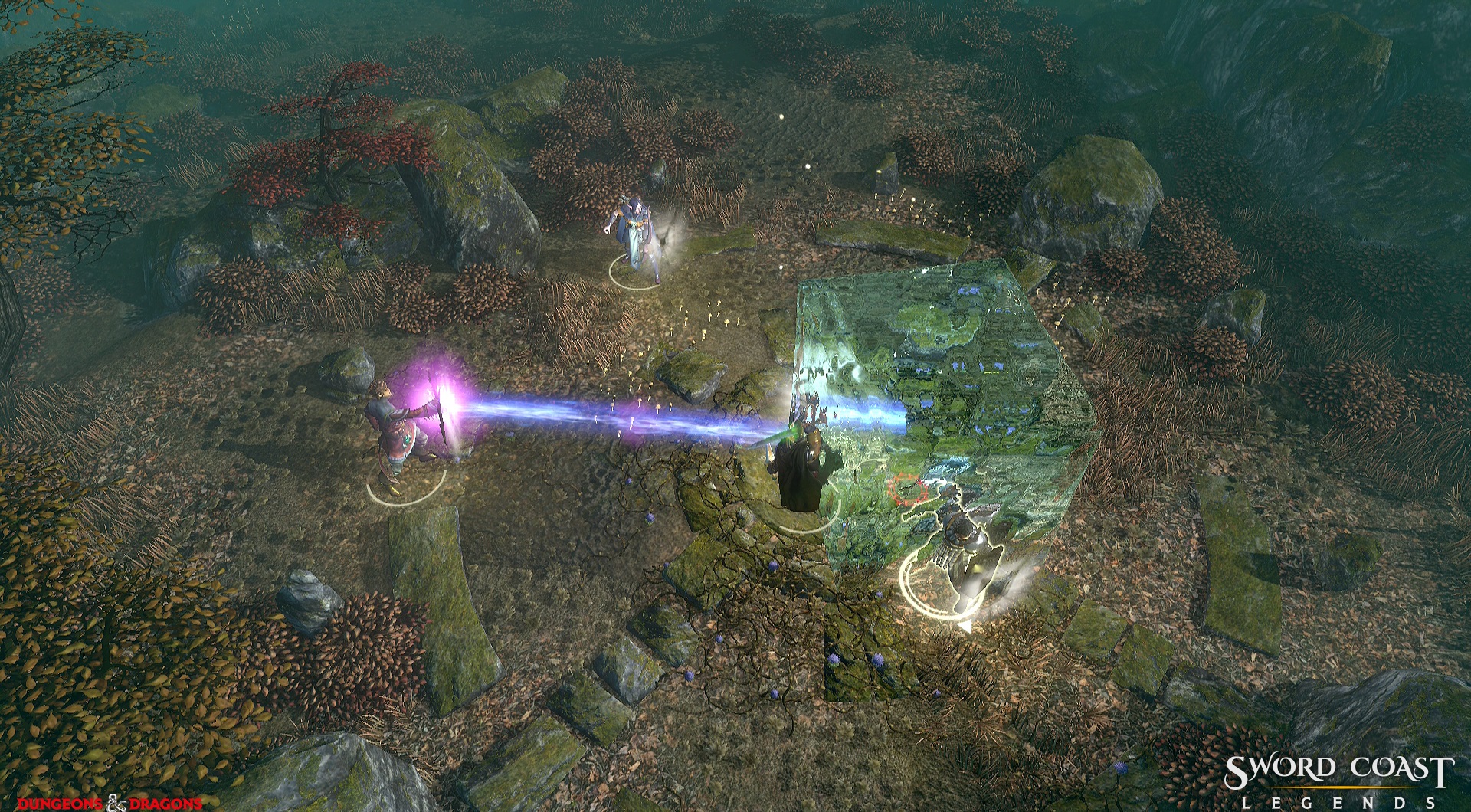 Скриншоты Sword Coast Legends