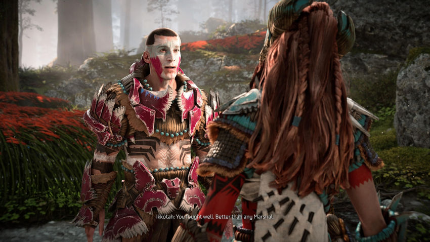 дополнительные миссии Horizon Forbidden West