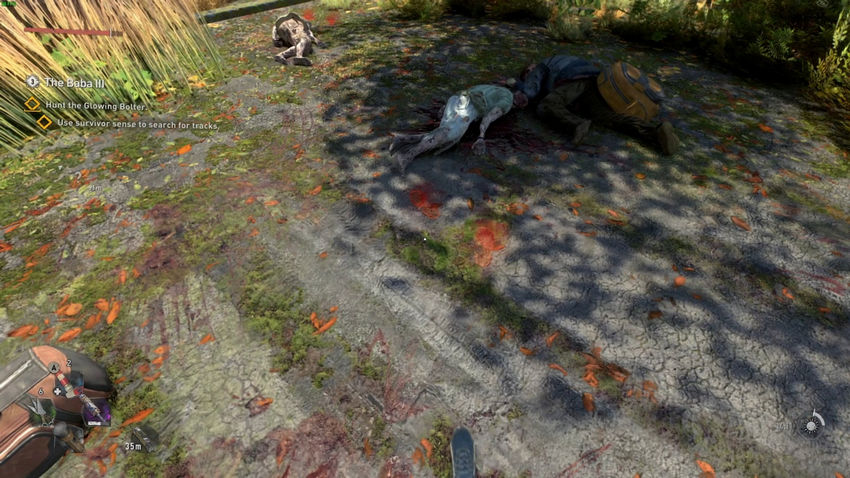 побочные квесты Dying Light 2