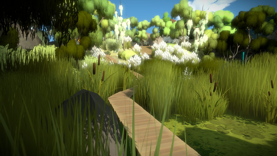 The Witness