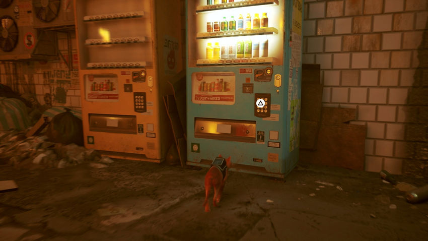 прохождение Stray