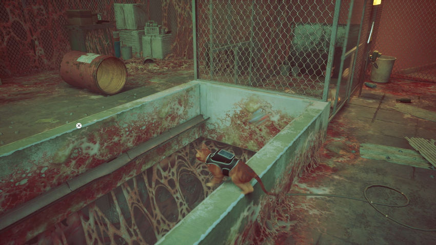 прохождение Stray