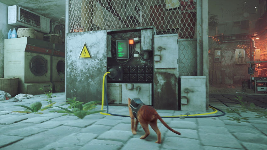 прохождение Stray