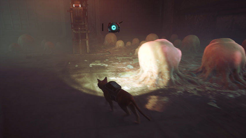 прохождение Stray