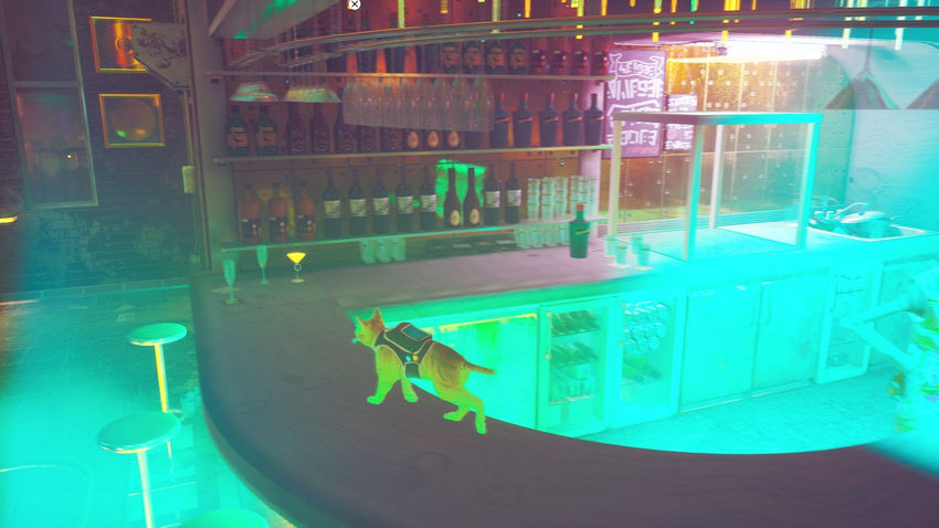 прохождение Stray