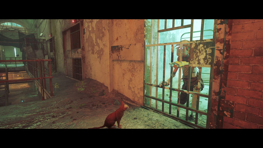 прохождение Stray