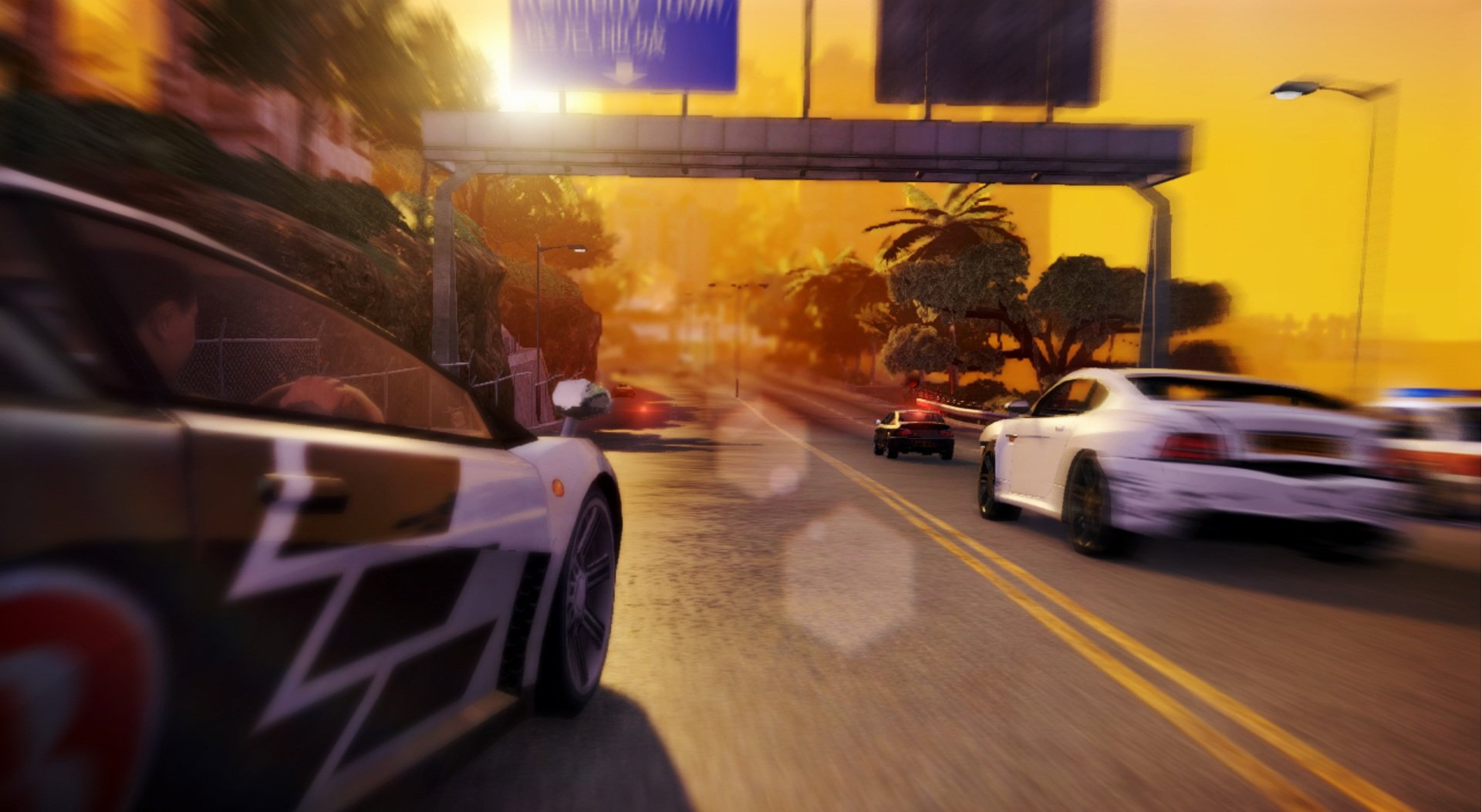 Sleeping Dogs