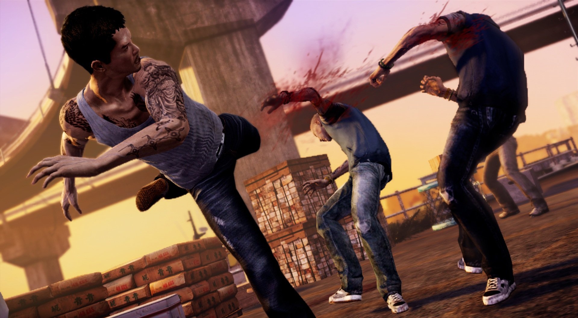 Sleeping Dogs