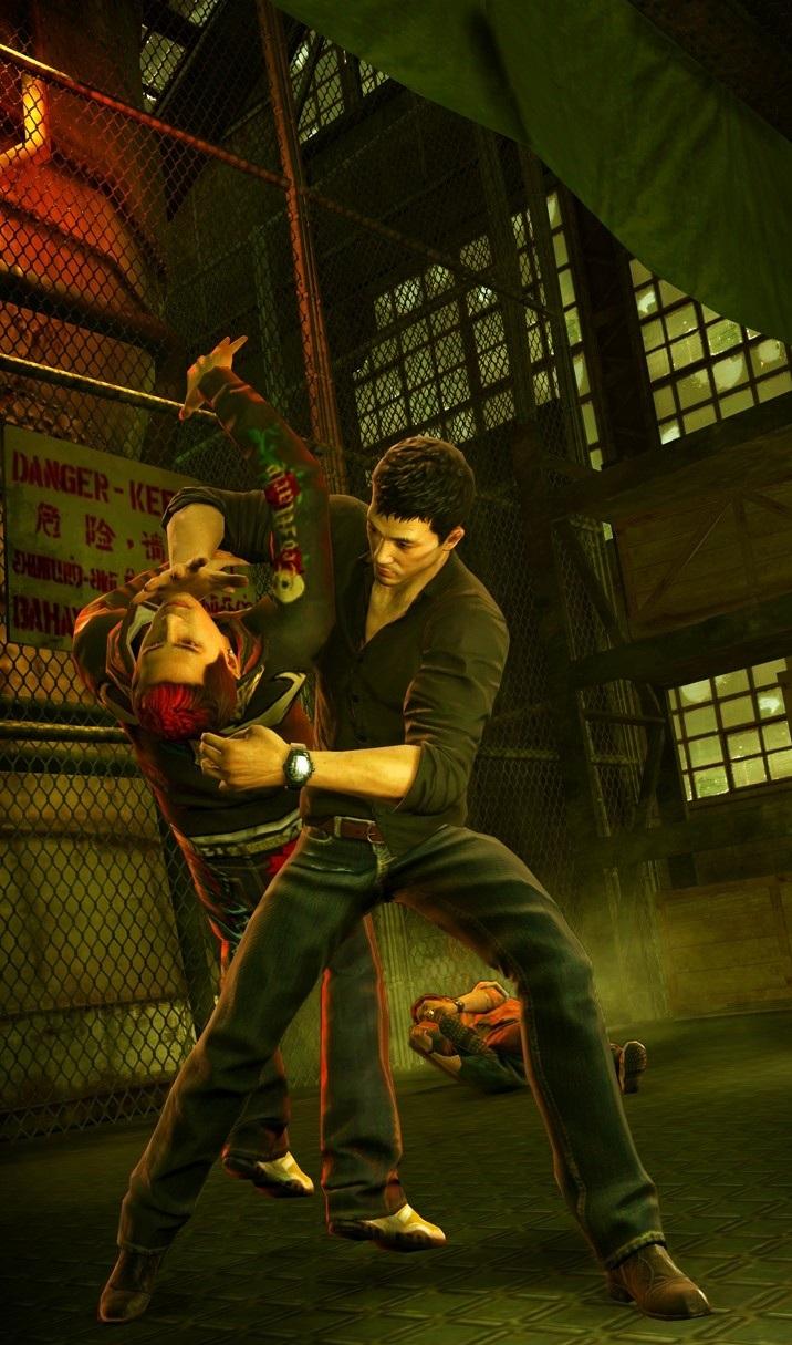 Sleeping Dogs