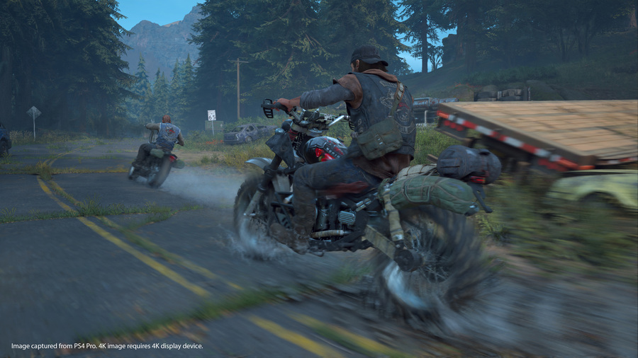 Days Gone