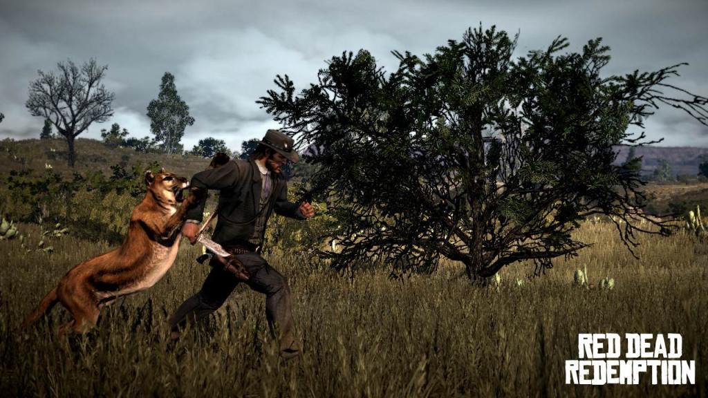 Red Dead Redemption