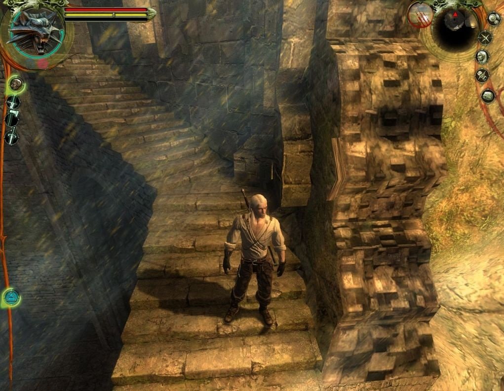 The Witcher