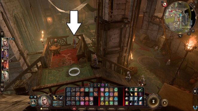 Baldurs Gate 3. Дополнительные задания