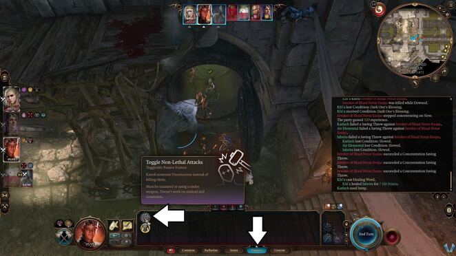 Baldurs Gate 3. Дополнительные задания