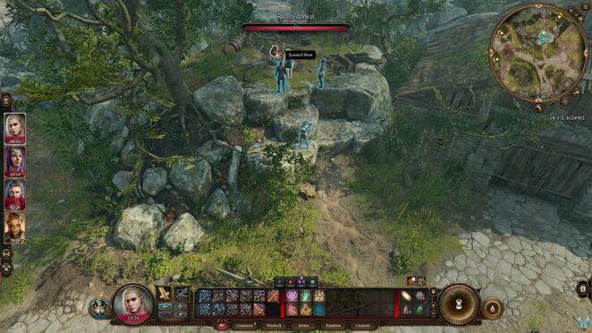 Baldur's Gate 3. Дополнительные задания