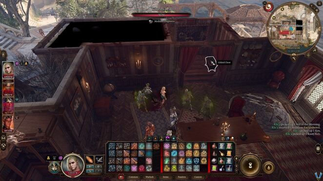 Baldurs Gate 3. Дополнительные задания