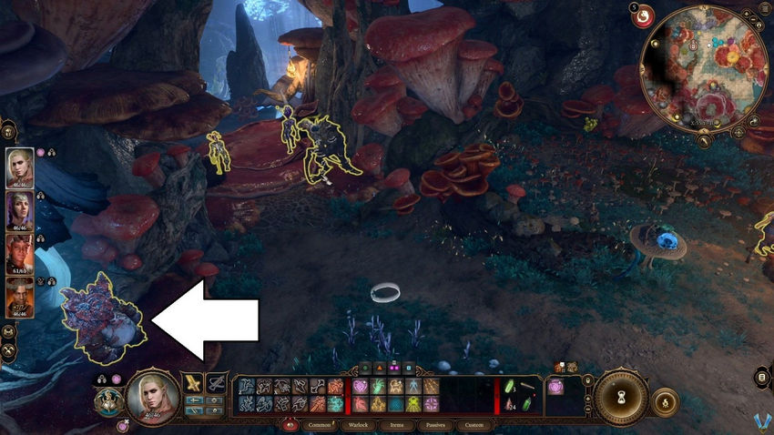 Baldurs Gate 3. Побочные квесты