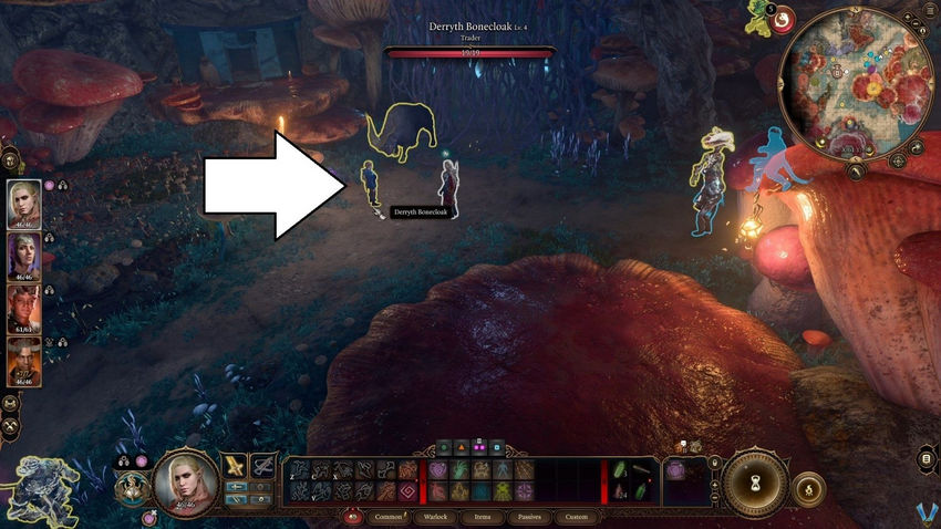 Baldurs Gate 3. Побочные квесты