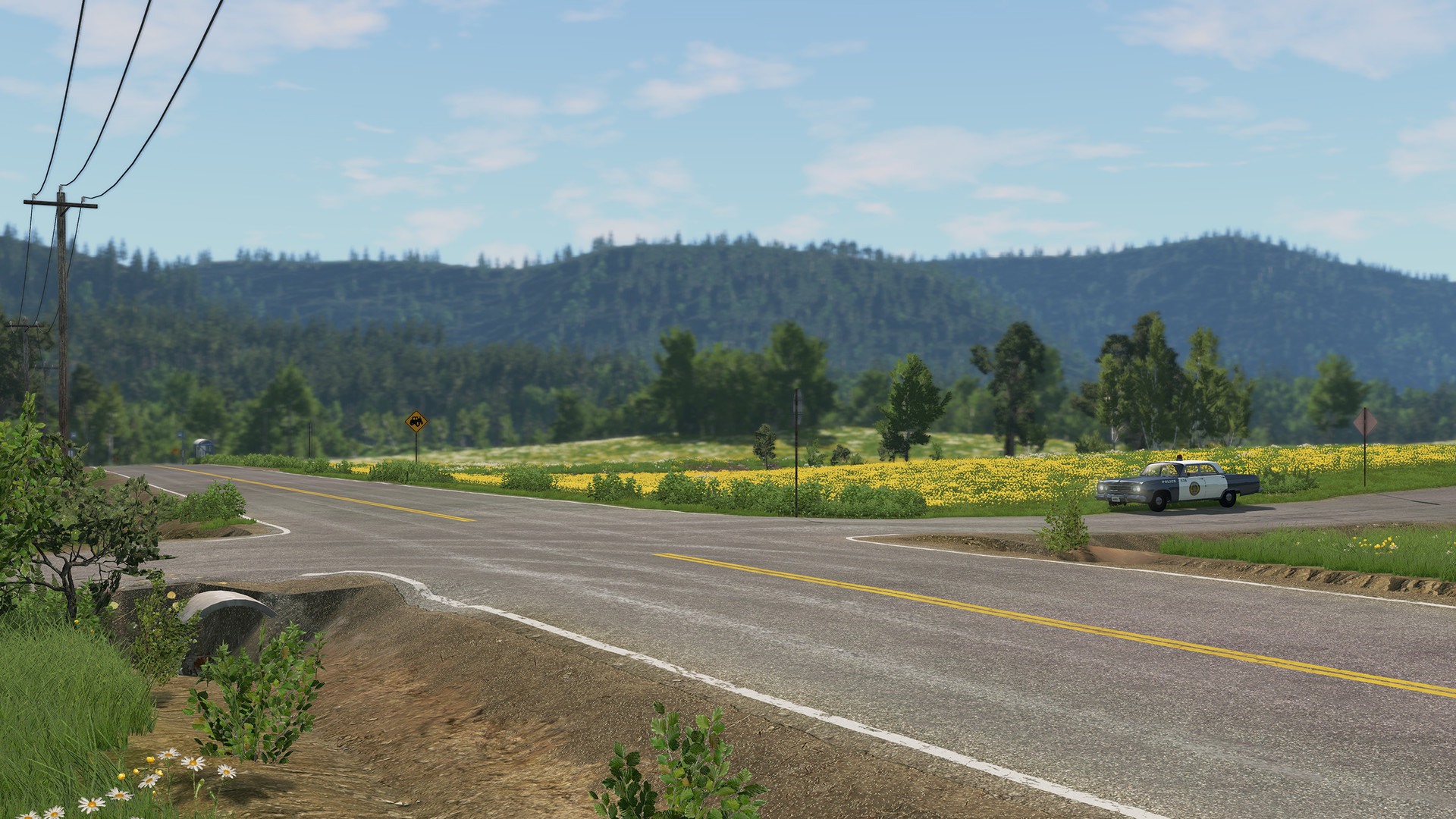 BeamNG.drive