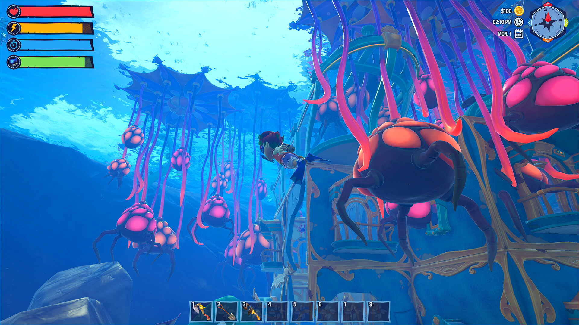Critter Cove