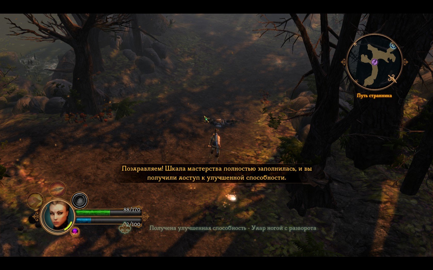 Dungeon Siege III