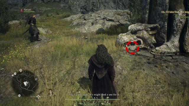Dragons Dogma 2. Жетоны искателя