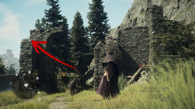 Dragons Dogma 2. Жетоны искателя