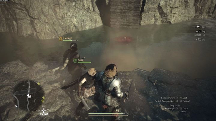 Dragons Dogma 2. Пешки