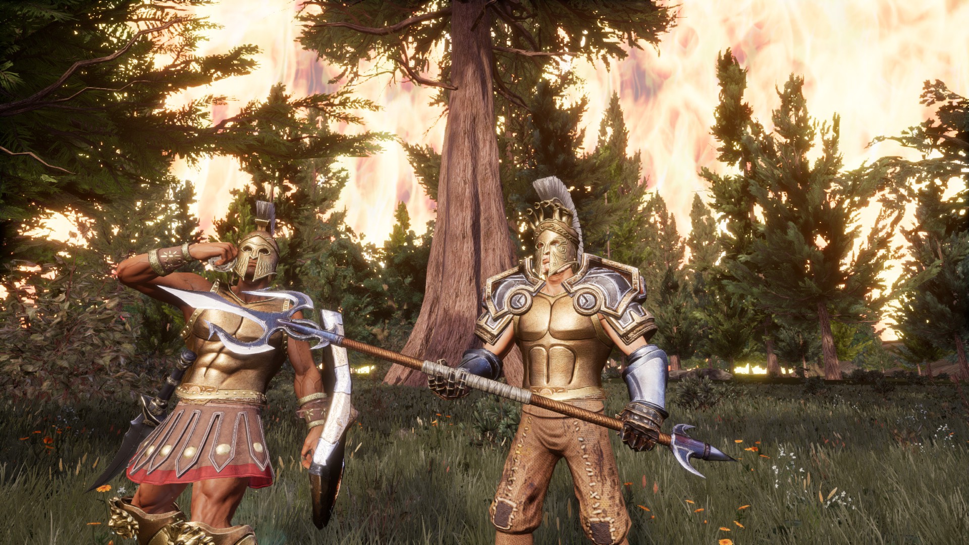 Zeus' Battlegrounds