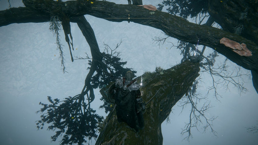 прохождение Elden Ring