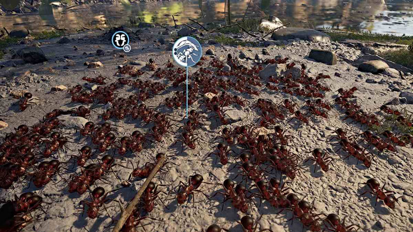 Empire of the Ants. Легионы