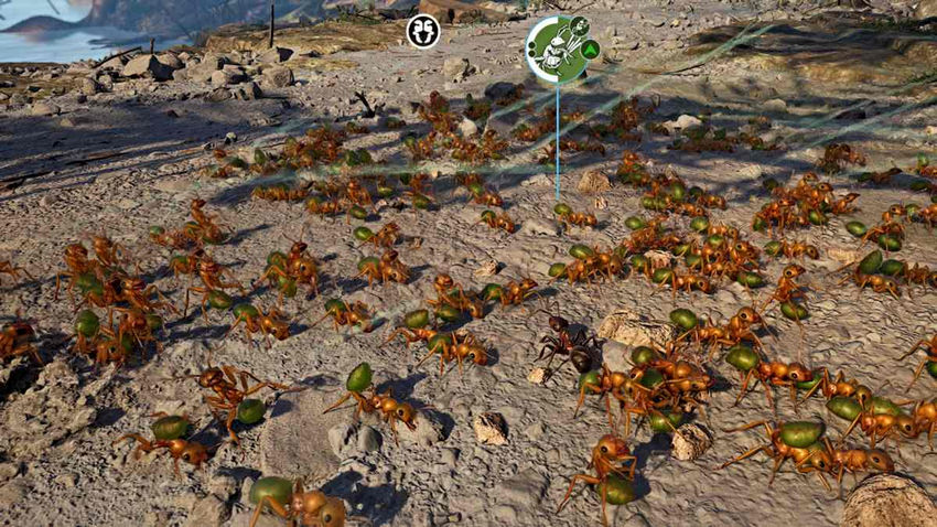 Empire of the Ants. Легионы