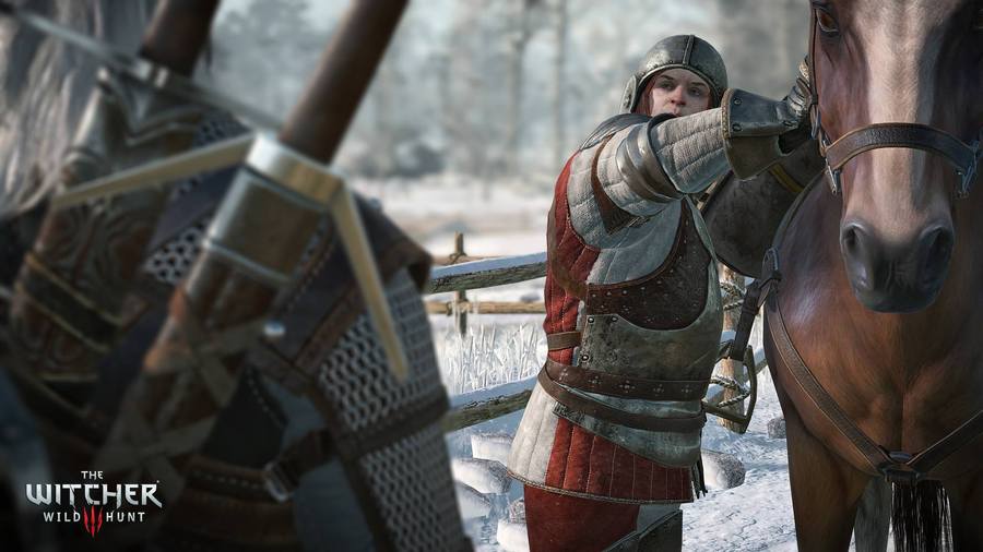 The Witcher 3: Wild Hunt 