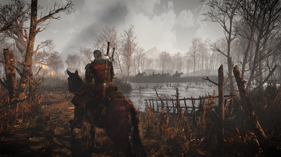The Witcher 3: Wild Hunt 