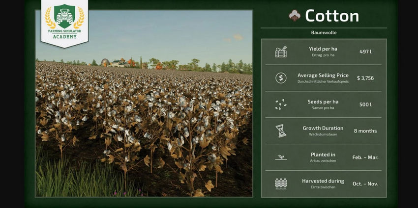 Farming Simulator 25. Прибыльные культуры