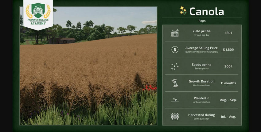 Farming Simulator 25. Прибыльные культуры