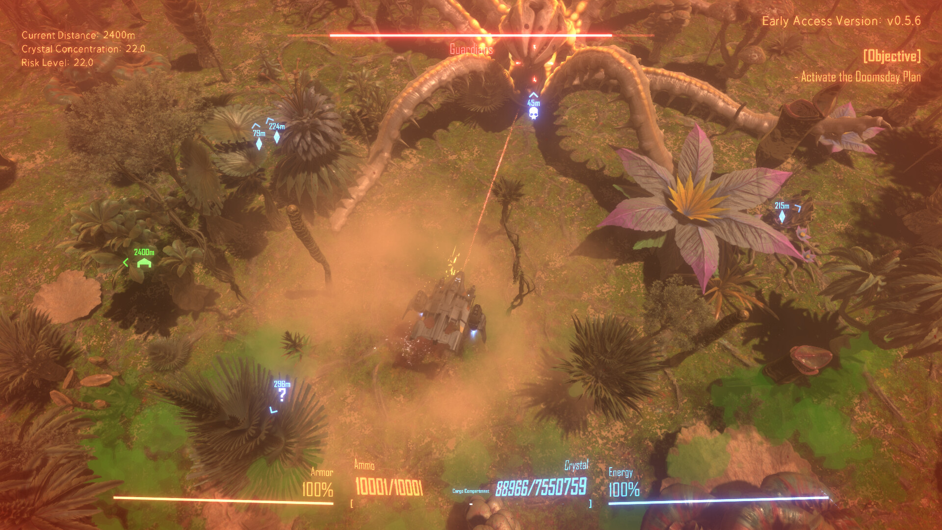 Insect Swarm