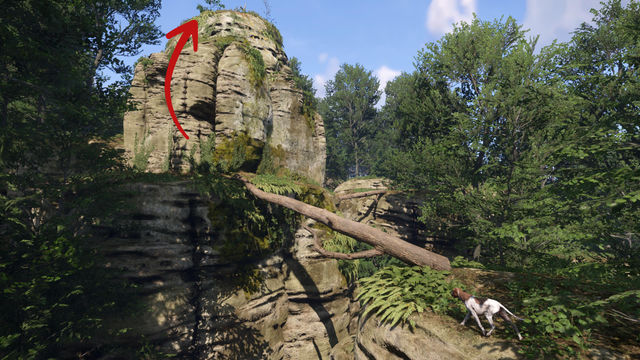 Kingdom Come Deliverance. Сокровища
